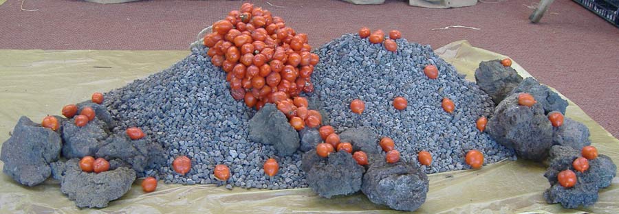 Antichi Sapori
