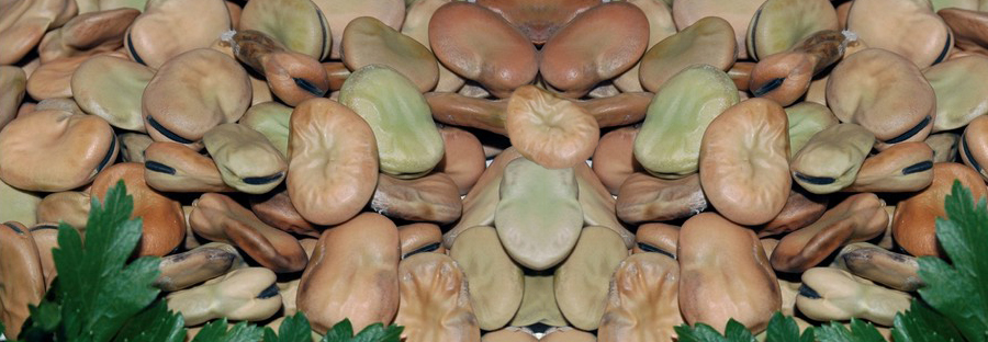 Antichi Sapori