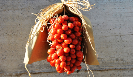 Pomodoro del piennolo